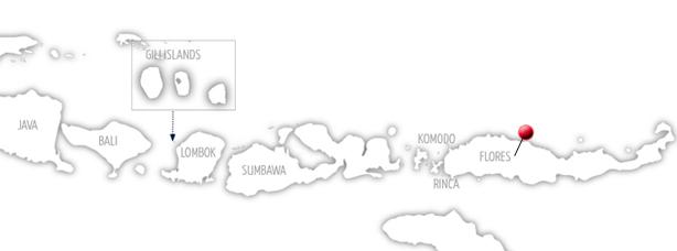 Karte Sundainseln - Highlight Flores - Sprachcaffe Reisen