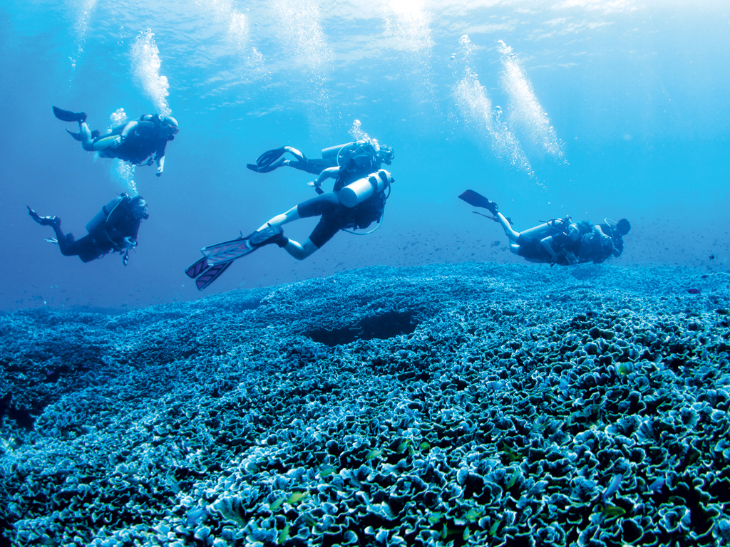 Open Water Diving Kurs auf Kuba
