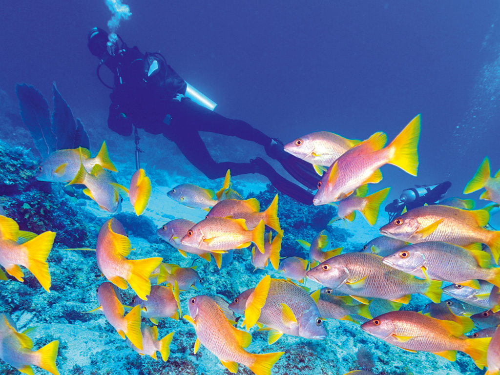 Advanced Open Water Diver Kurs