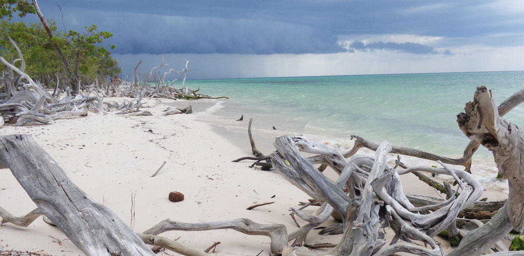 Cayo Jutías Strand Kuba