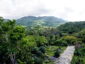 Blick auf den Nationalpark Topes de Collantes