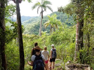 Topes de Collantes Wanderung