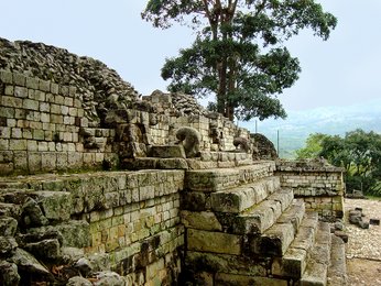 Copán - bedeutende Stadt der Maya in Honduras