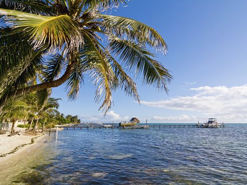 Caye Caulker