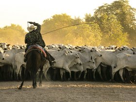 Farmer Farmer
