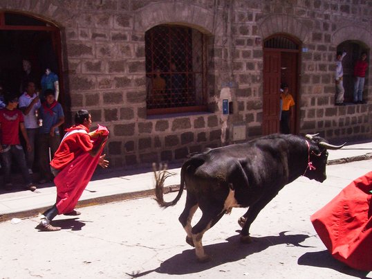 Stierrennen "Pascua Toro"