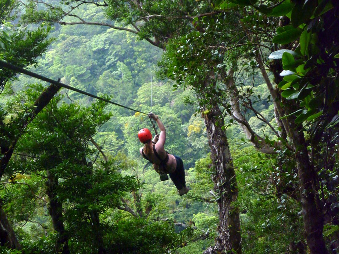 Viele Möglichkeiten an Aktivitäten im Regenwald