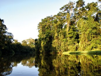 Costa Rica - Tortuguero - Sprachcaffe Reisen