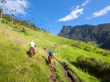 Cocora Tal 