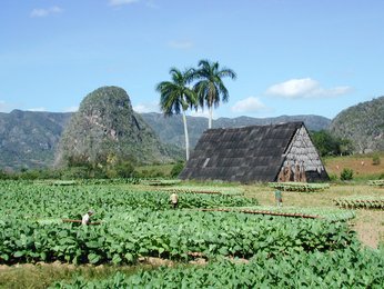 Viñales-Tal_Kuba