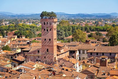 Lucca - Guinigiturm