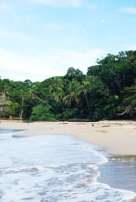 Playa Punta Uva Costa Rica