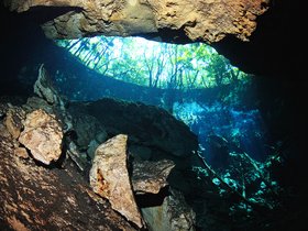 Cenotes - Mexiko - Sprachcaffe Reisen