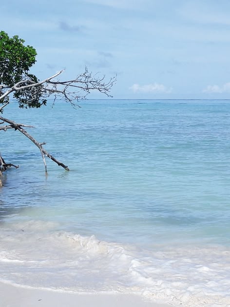 Beaches of the Caribbean