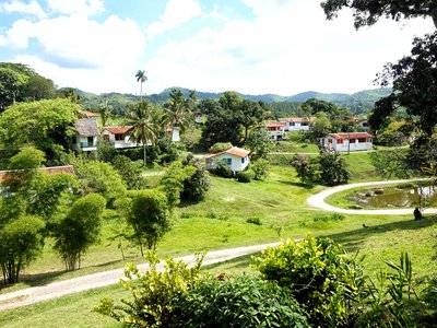 Grüne Landschaft Las Terrazas 