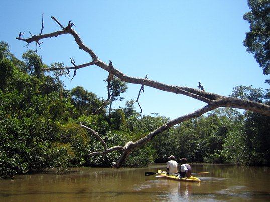 Kayakfahren in Punta Izopo, Honduras