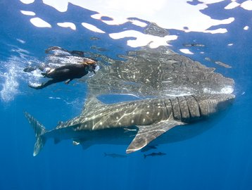 Isla Mujeres