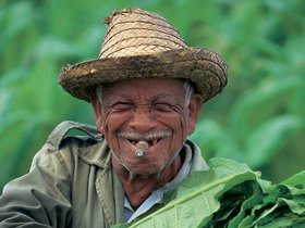Tabakbauer im Vinales Tal